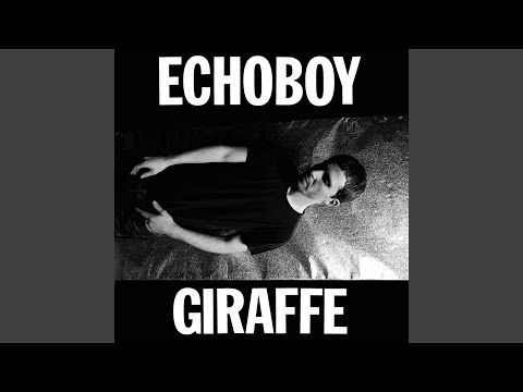 Echoboy — Comfort of the Hum
