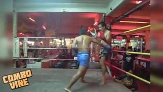 Combo Vine(30)
