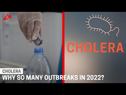 Why Are There So Many Cholera Outbreaks in 2022?
