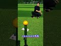A compilation of outdoor card throwing games! #cardthrowing