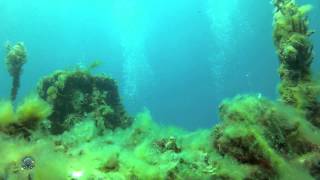 Deep Dive Course