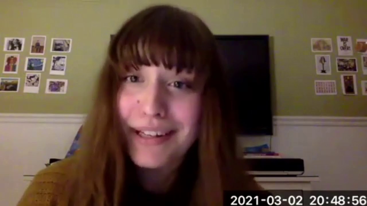 Siegel Model United Nations Overview 2021