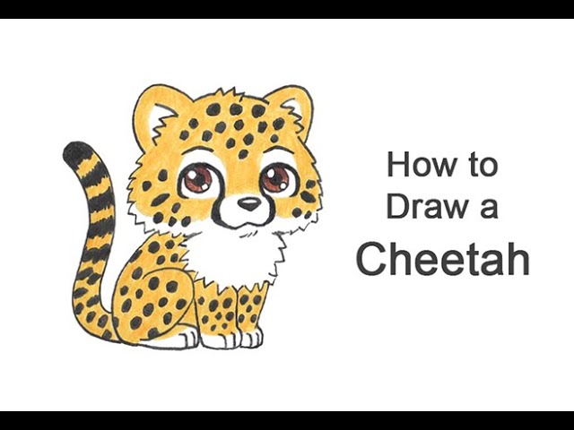 How to draw a Cheetah (Cartoon) - YouTube