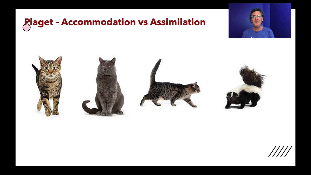 Lecture7.3 - Generalization & Discrimination - YouTube
