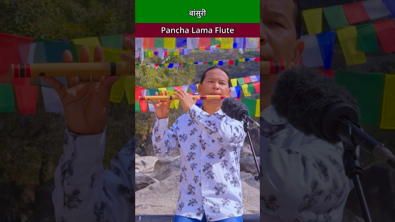 Flute Music | Bansuri Dhun | Bird Sound With Nature | Instrumental Music #flute #flutemusic #shorts
