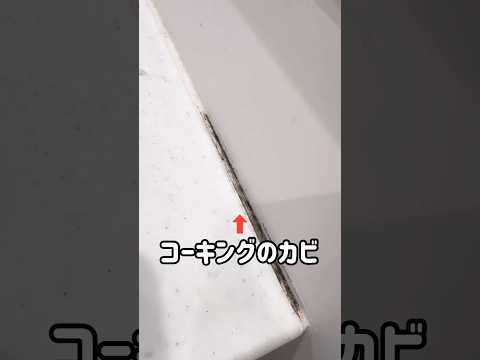 ゴムパッキンやコーキングのカビを最短で落とす
