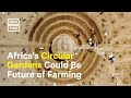 Farmers in Senegal Plant Drought-Resistant, Circular Gardens