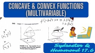 Concave & Convex functions ( Multivariable Case)| Jensen's Inequality| Sydsaeter & Hammond Sec 17.6