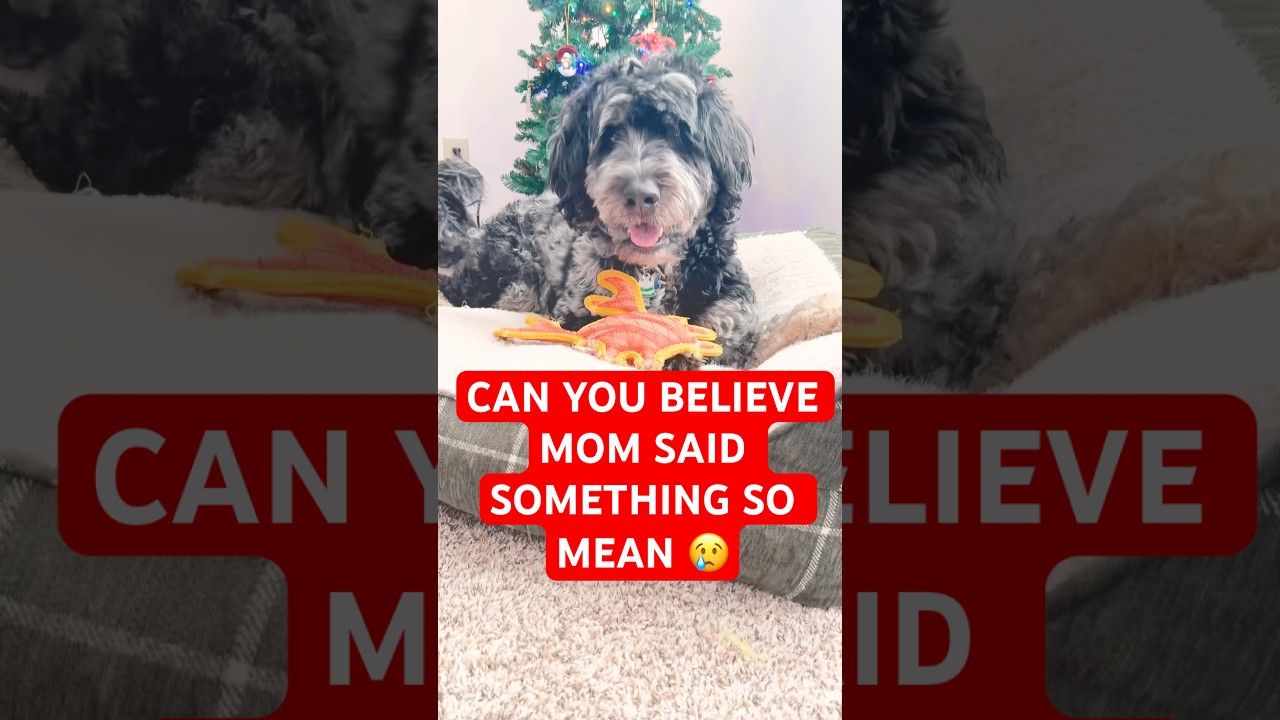 CAN YOU BELIEVE mom said THIS MEAN THING 😪 