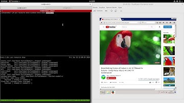 Live virtual machine migration