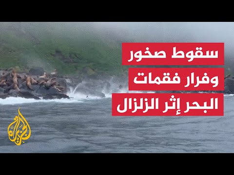 اللحظات الأولى لوقوع زلزال قبالة سواحل جزيرة أنتسيفيروفا الروسية
