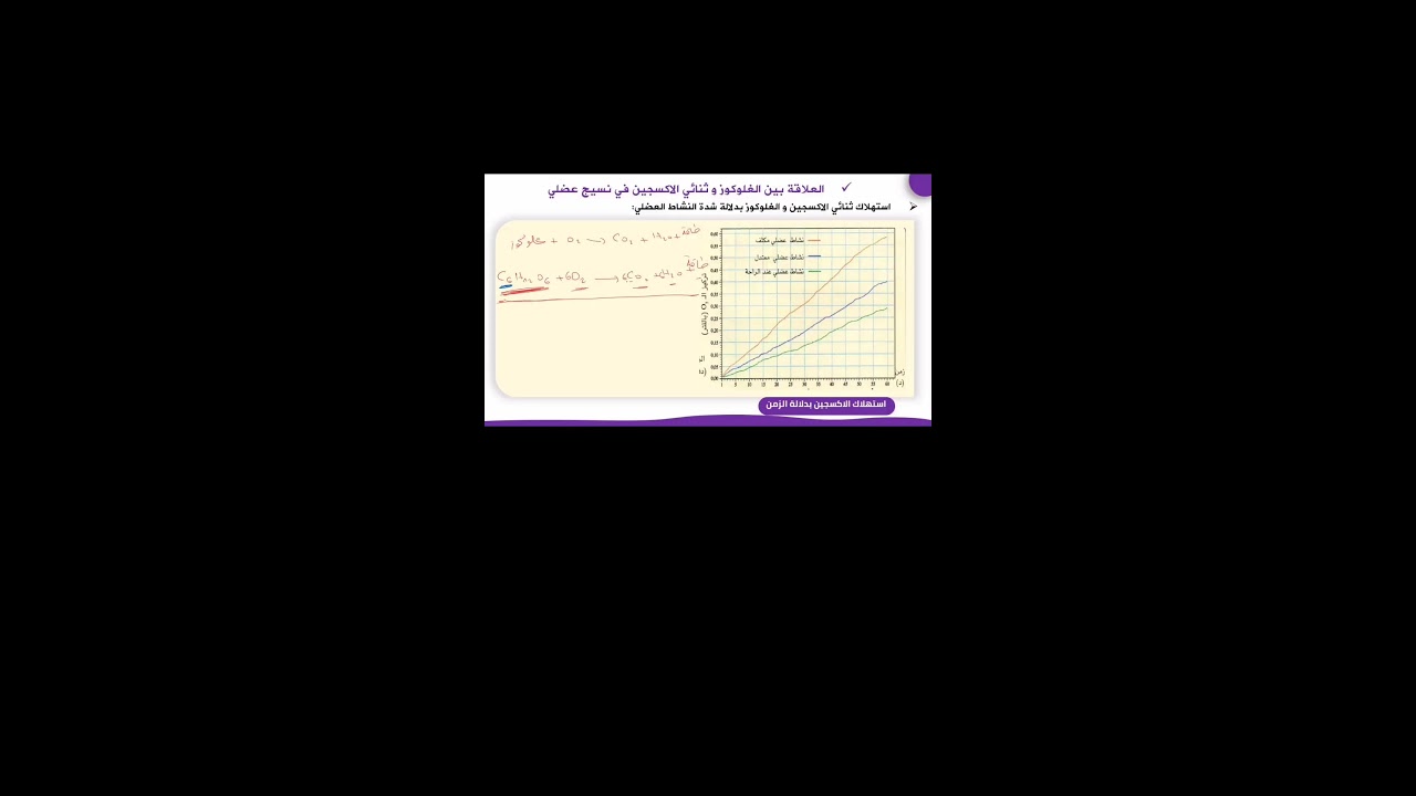 بث مباشر للرابعة