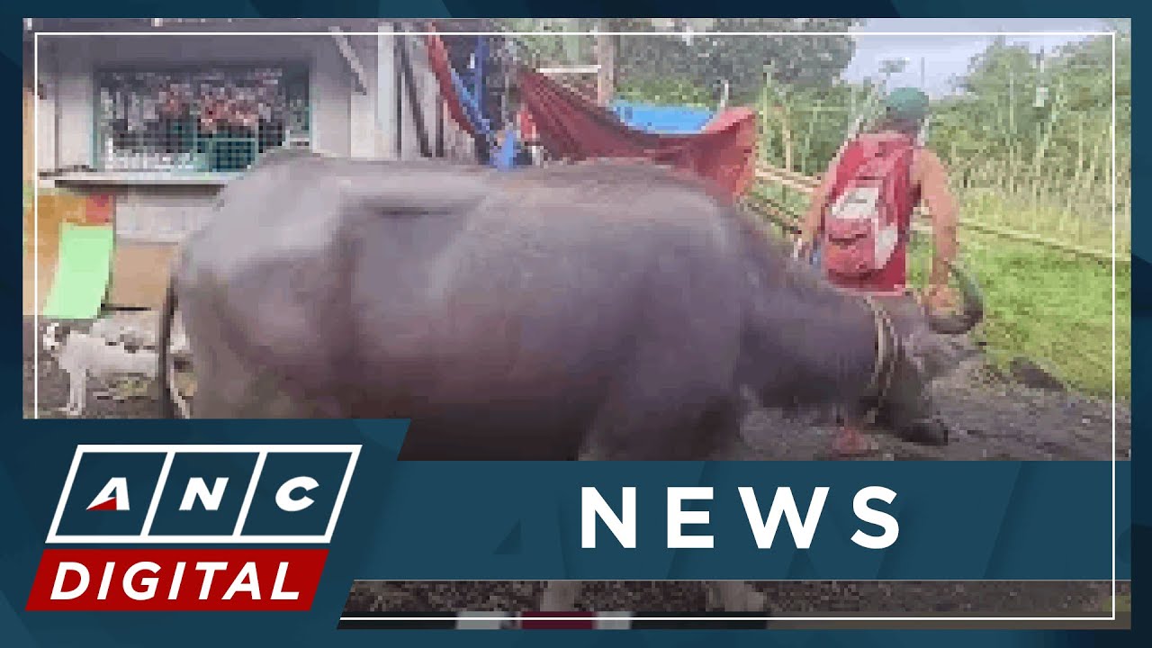 Phivolcs says raising Alert Level 4 possible as Mayon Volcano continues to show signs of unrest