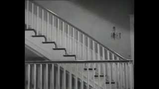 Laurel and Hardy Clip - The Football Vs The Desk Clerk