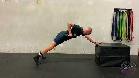 DB 3-Point Row (Plank)
