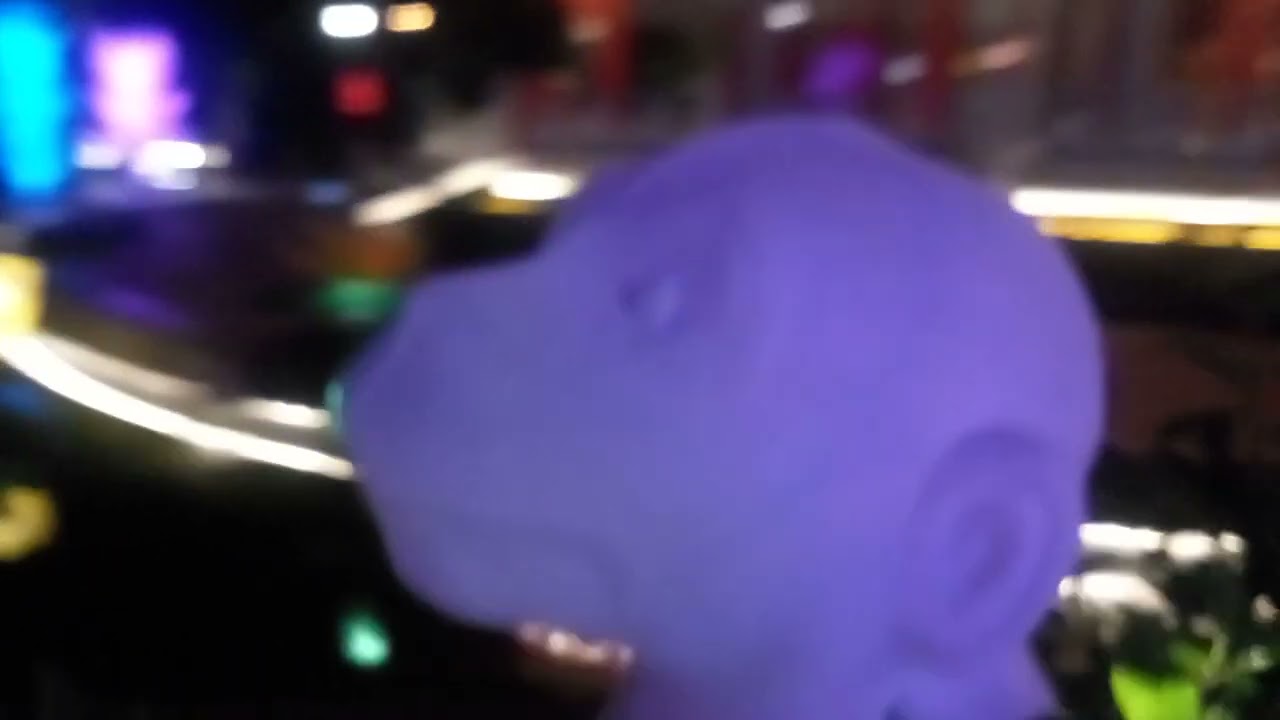 Aku pergi ke pakuwon city mall trs ketemu patung shio 12 banyak banget shio nya..