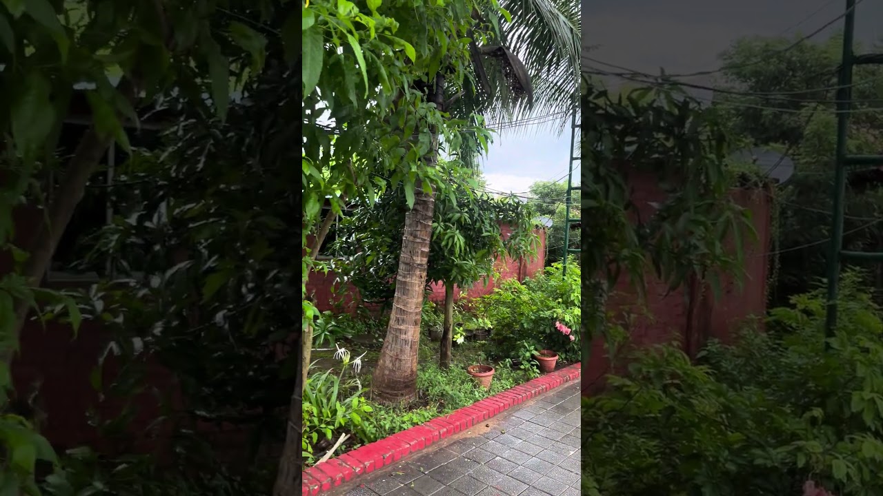 GREENPOINT HOTELS & RESORTS, CHANDANPUR, PURUNAGARH, TIKARAPADA ROAD, BADAKERA, ANGUL.