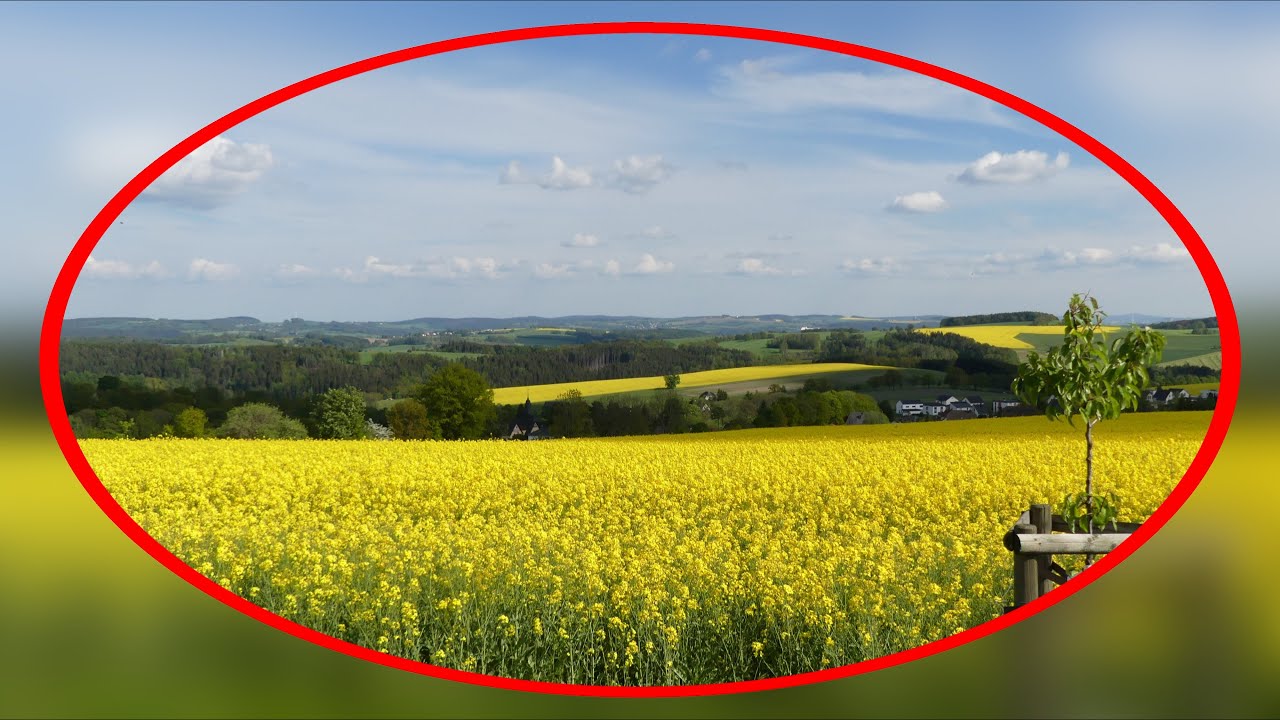 Sternmühlental  - Adelsbergturm (Wandern im Süden von Chemnitz)