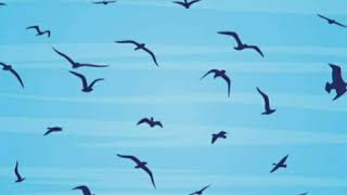 Tato Lagable - A Dónde Van Los Pájaros Que Mueren