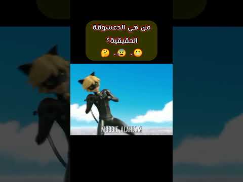 تعرفت الدعسوقة على القط الأسود لكن القط الأسود لم تعرفها تصميم ميراكلس