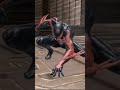 2099 superhero landing #games #marvel #marvel #spiderman #edgeoftime #2099spiderman