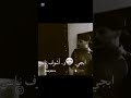 23 يونيو 2025 23 يونيو 2025