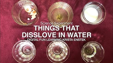 Science Experiment -Things Dissolve in Water // DIGITAL FUN LEARNING KRISTA ENSTEK