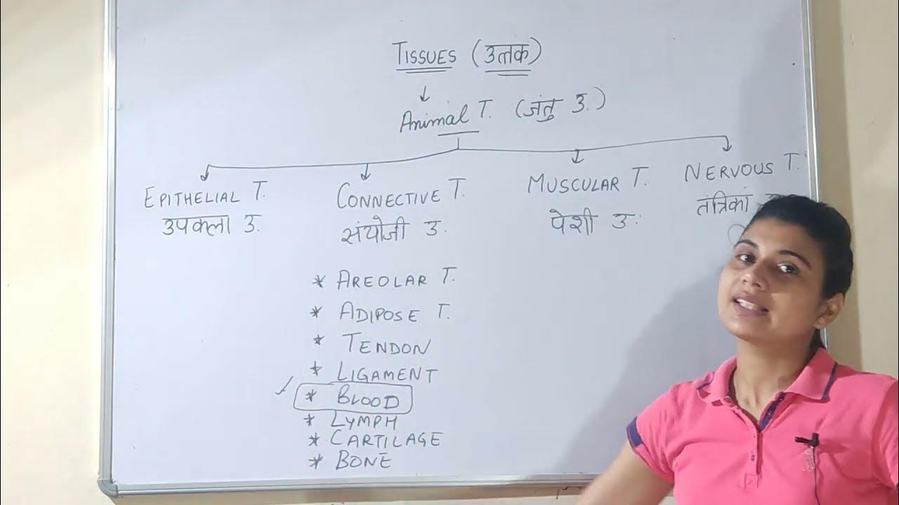 Tissues in hindi उत्तक Biology Science tissue YouTube
