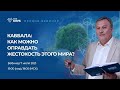 Каббала: Как можно оправдать жестокость этого мира?