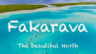 Fakarava North vs South (4k) – Ultimate Tuamotu Diving & Travel Experience (2024), French Polynesia