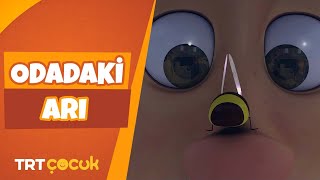 RAFADAN TAYFA | ODADAKİ ARI | TRT ÇOCUK