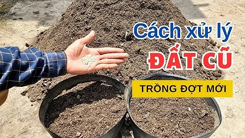 Xử lý đất cũ trồng đợt mới ngay không cần phơi đất