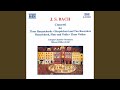 Miniature de la vidéo de la chanson Concerto For 3 Harpsichords In D Major, Bwv 1064, (Arr. For Violins): Ii. Adagio