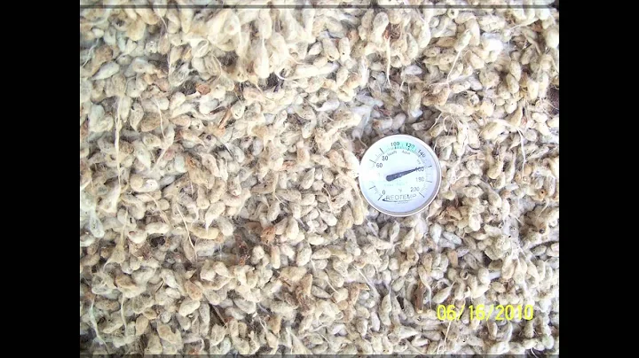 "An interview with Doug DeGroff: Managing Feed Shr...