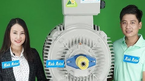Mô tơ 55kW 75HP, Chất lượng nguyên liệu, Minhmotor 0981676163