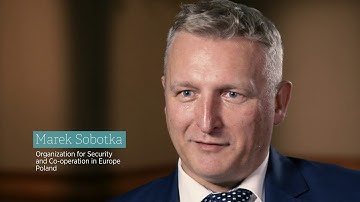 IPNDV: How does IPNDV work?