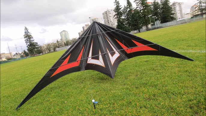  In the Breeze Colorwave Stunt Kite - Dual Line Sport