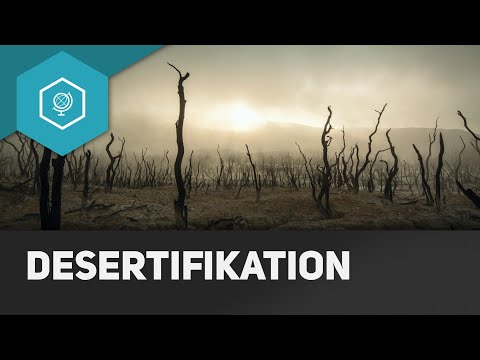 Desertifikation - Bodendegradation 3
