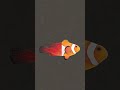 #impossible #tutorial