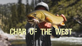 Char of the West  A Fly Fishing Film (Part 1)