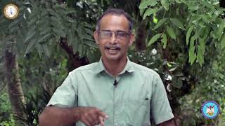 Thamarassery| Online Catechism| Class 8 | Chapter 8 | Part 1