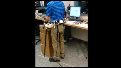 Independent, Voluntary Control of Extra Robotic Limbs
