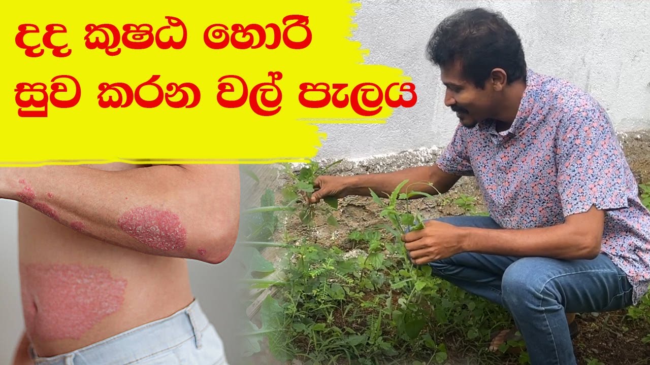 මිනිස්සු මරන්න නෙමෙයි මල බද්දයට කුෂ්ට සනීප කරන කඩු පහර