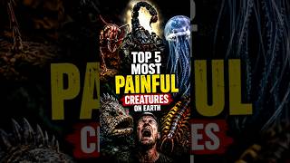 TOP 5 Most Painful Creatures on Earth 🌍