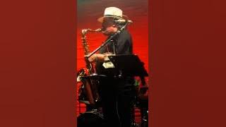 Unchain My Heart - Pat Zicari