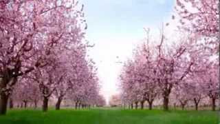 FURUSATO【HATSUNE MIKU ENGLISH】