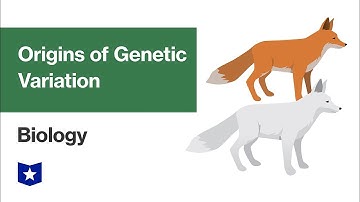Origins of Genetic Variation | Biology