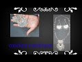 oxidize making jewellery new idea/how make to oxidised jewellery#homemade