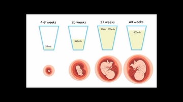 Amniotic fluid and its abnormalities in color