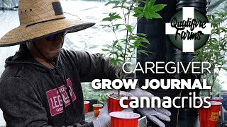 Caregiver Grow Journal - Transplanting - Qualifire Farms (E5)